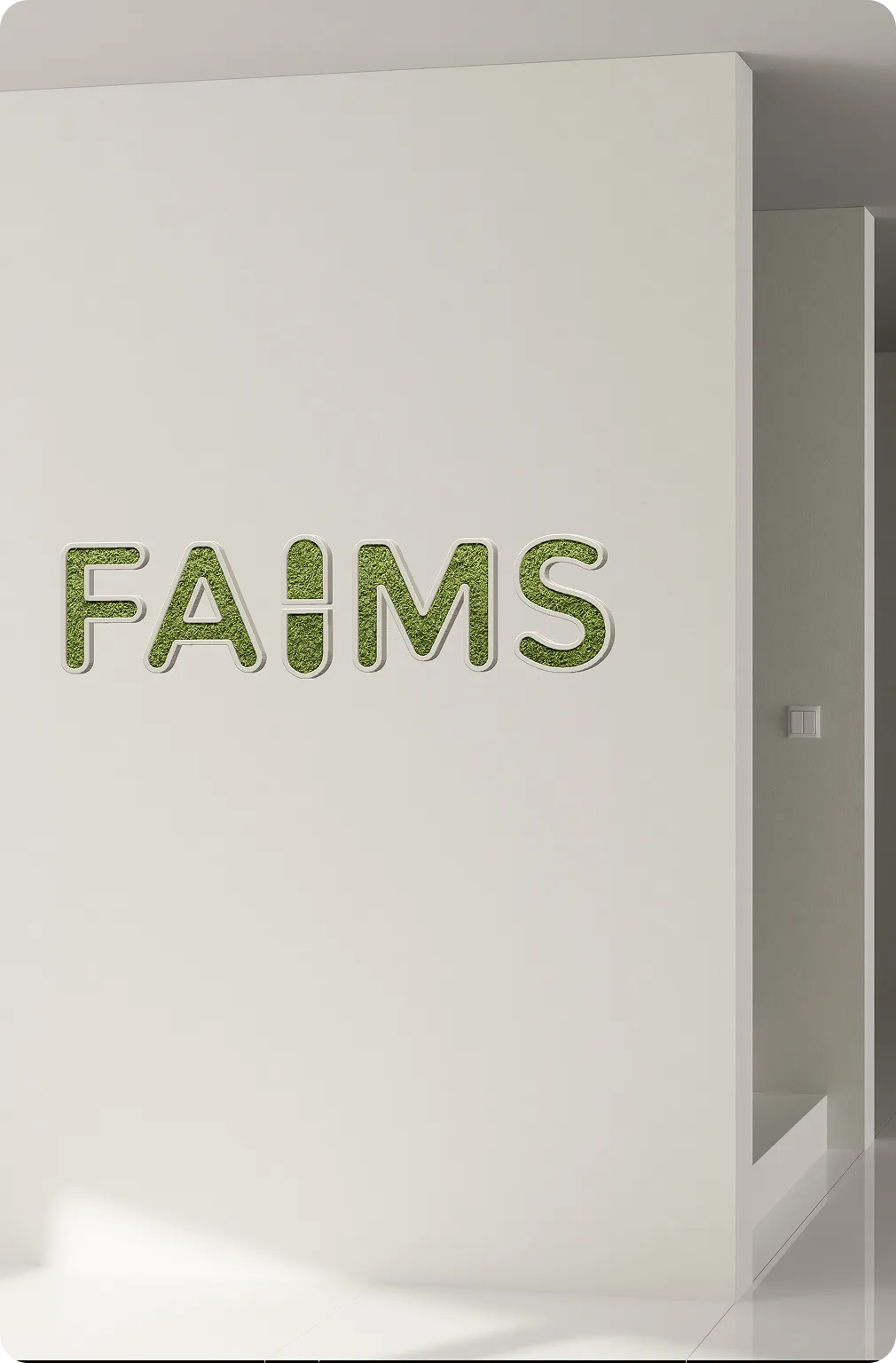 About Faims